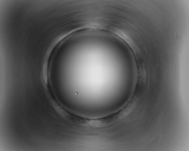 X0000090751128200707201444