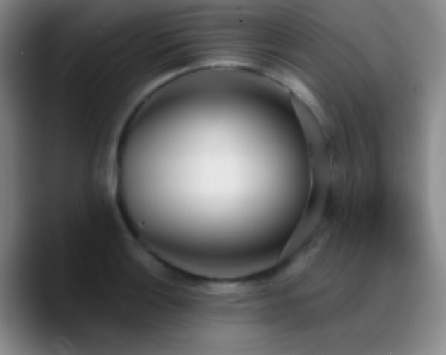 X0000090751132200707201444