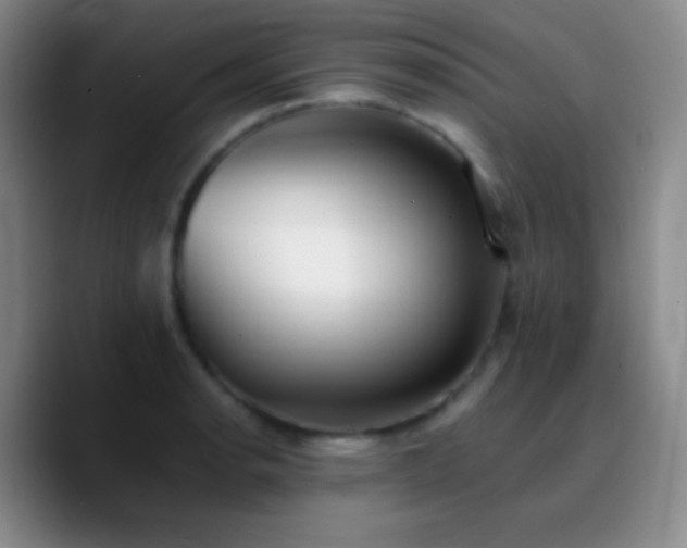X0000090751134200707201444