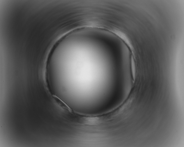 X0000090751136200707201444