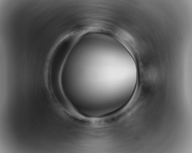 X0000090751138200707201444