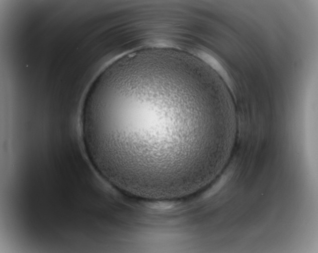 X0000090751141200707201444