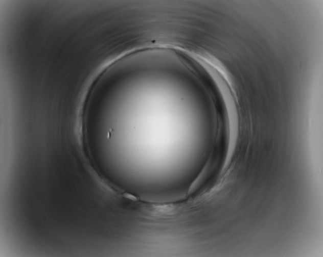 X0000090751144200707201444