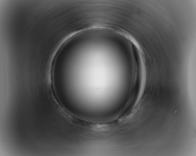 X0000090751148200707201444