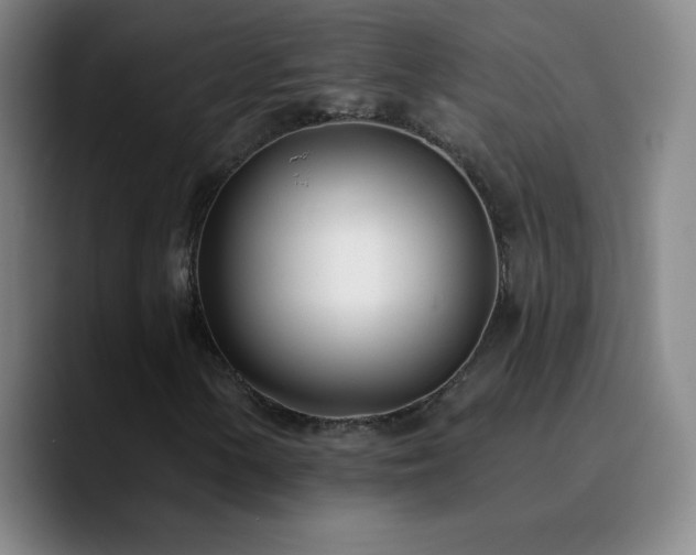 X0000090751154200707201444