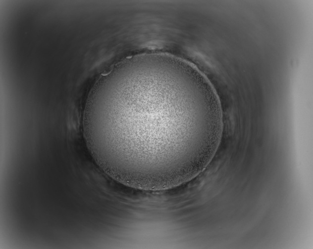 X0000090751158200707201443