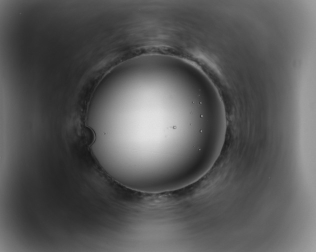 X0000090751159200707201443