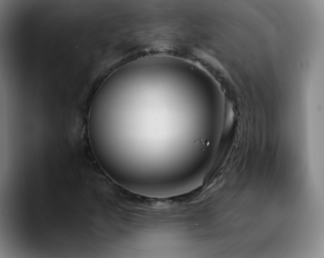 X0000090751160200707201443