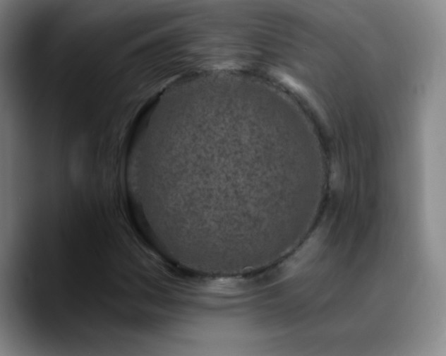 X0000090751161200707201443