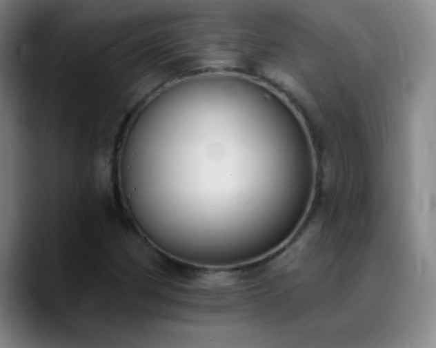 X0000090751162200707201443