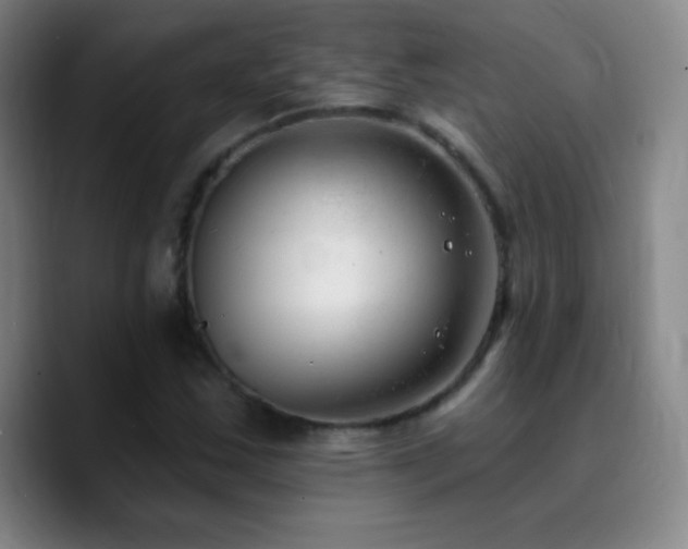 X0000090751163200707201443