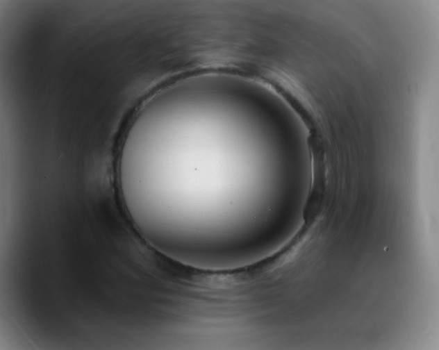 X0000090751164200707201443