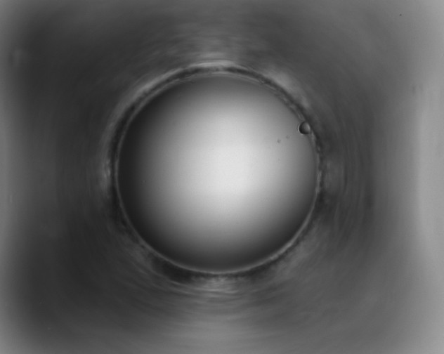 X0000090751167200707201443