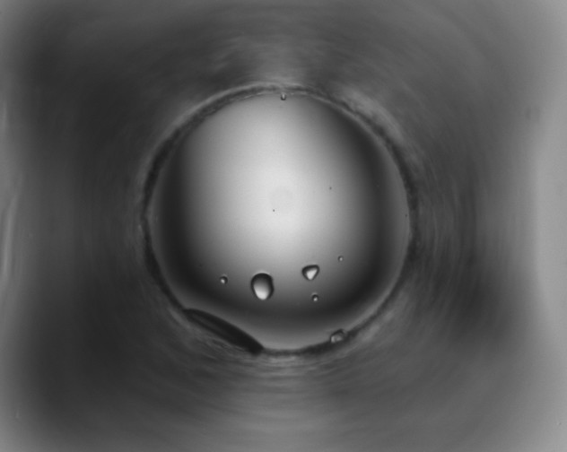 X0000090751168200707201443