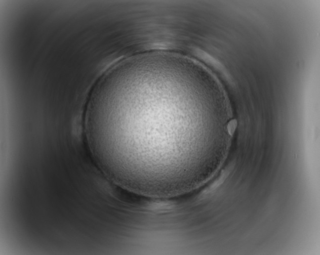 X0000090751170200707201443