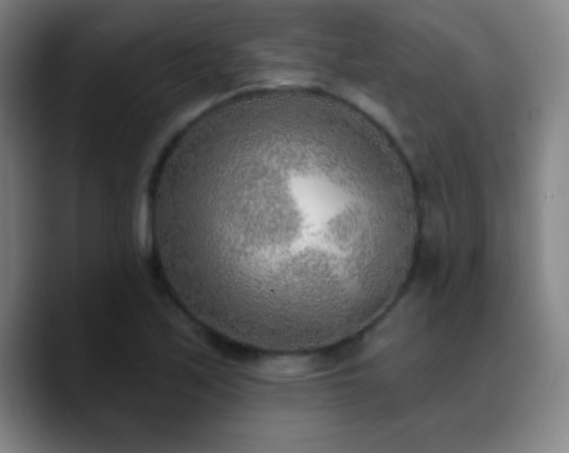 X0000090751171200707201443