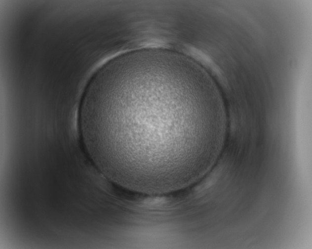 X0000090751174200707201443