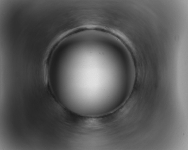 X0000090751175200707201443