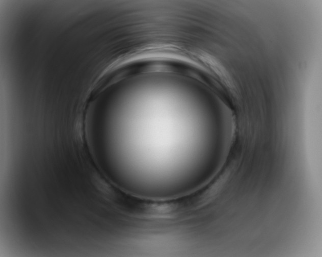 X0000090751177200707201443