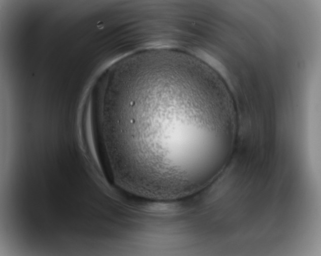 X0000090751179200707201443