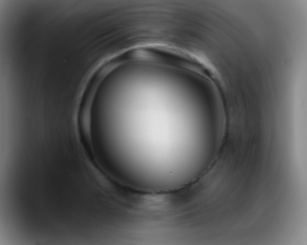 X0000090751181200707201443
