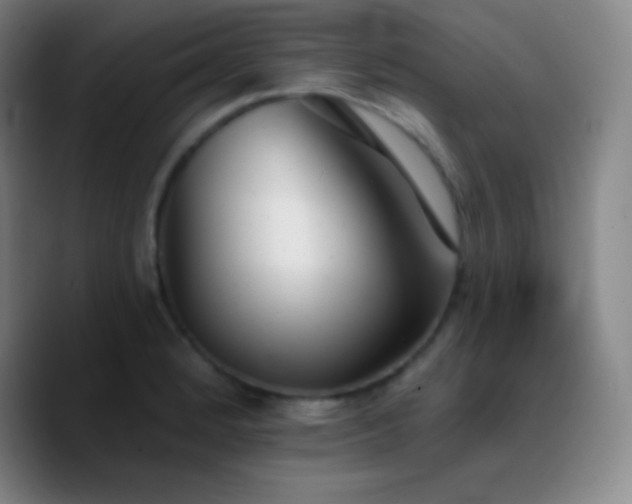 X0000090751184200707201443