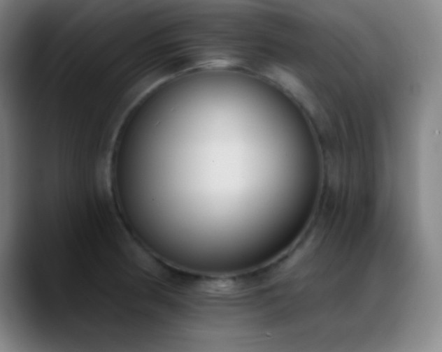 X0000090751186200707201443