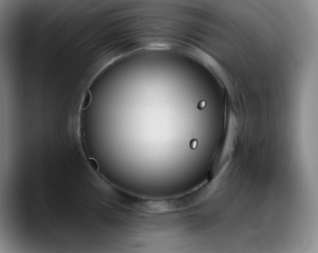 X0000090751194200707201443