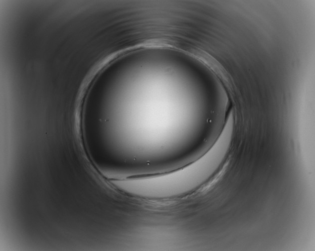 X0000090751196200707201443