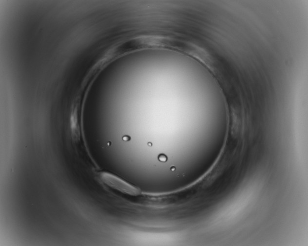 X0000090751198200707201443