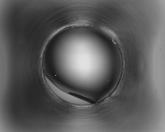 X0000090751200200707201443