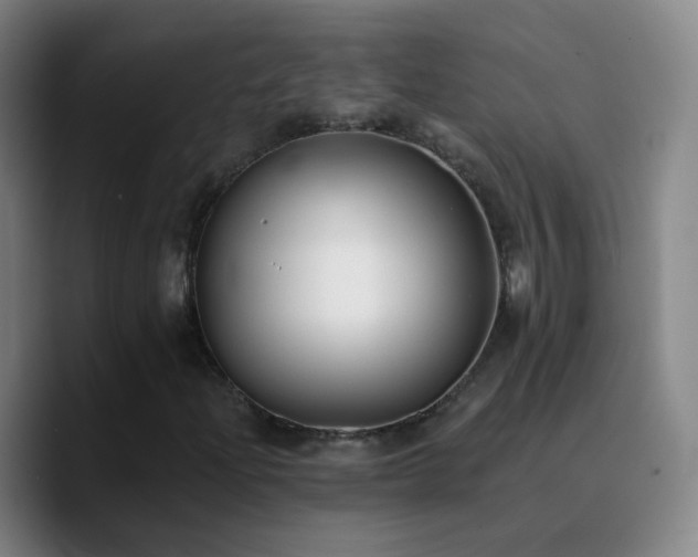 X0000090751204200707201442