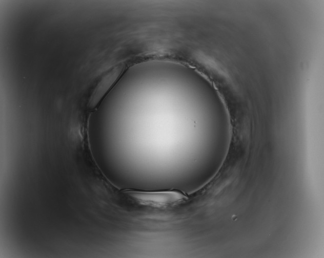 X0000090751206200707201442