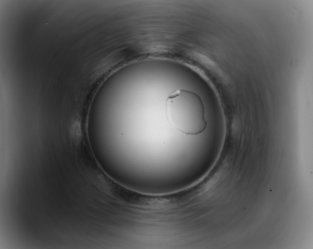 X0000090751209200707201442
