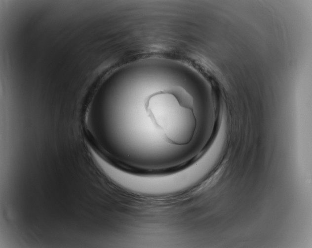 X0000090751210200707201442