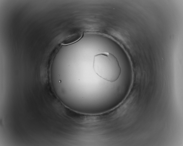 X0000090751211200707201442