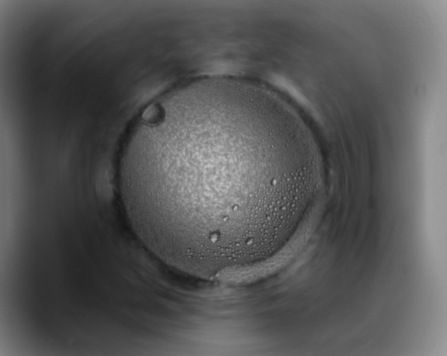 X0000090751213200707201442