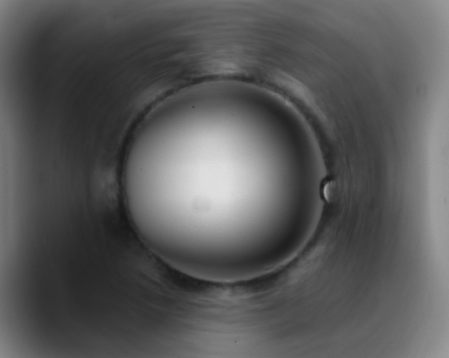X0000090751218200707201443