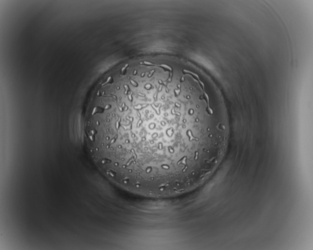 X0000090751219200707201443