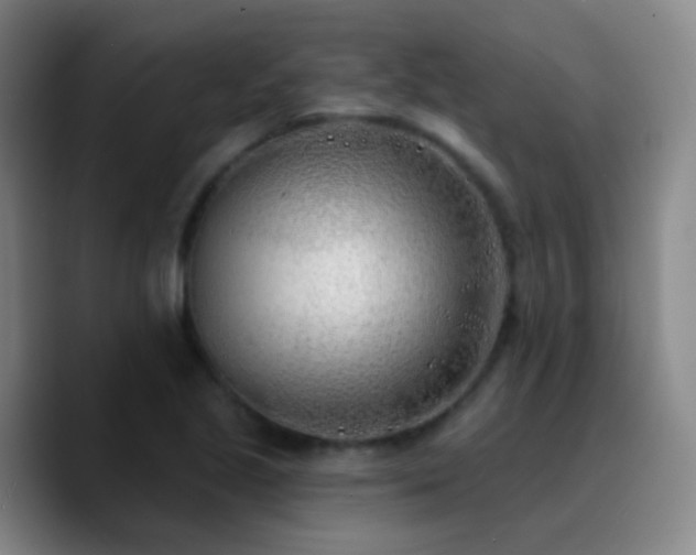 X0000090751221200707201443