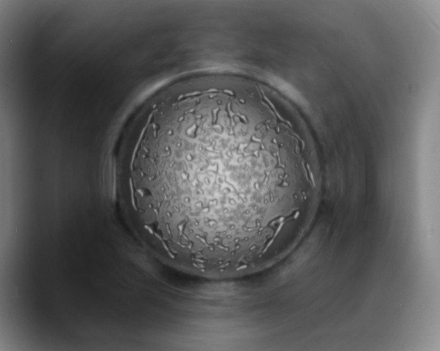 X0000090751223200707201443