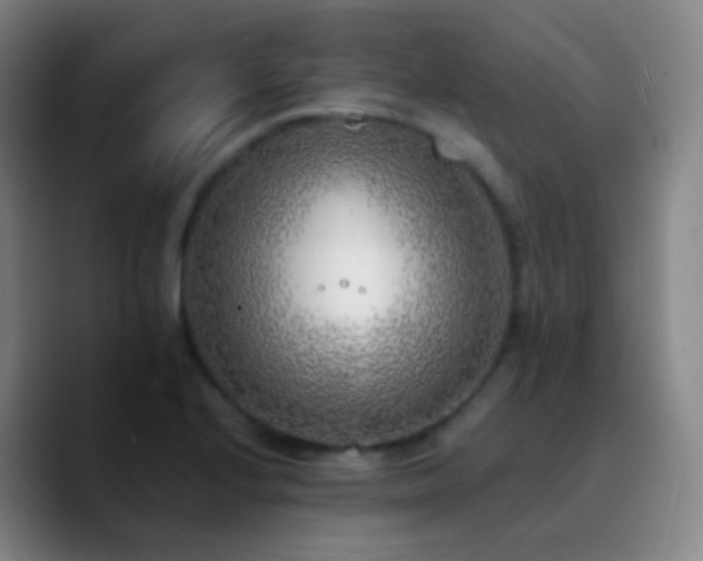 X0000090751224200707201443