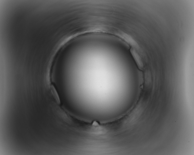 X0000090751230200707201443