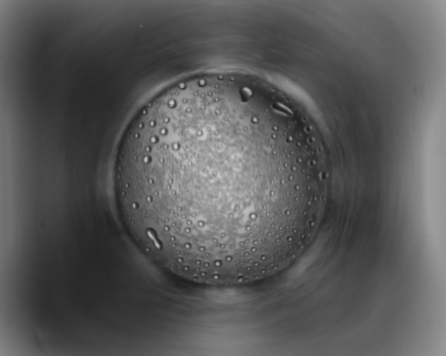 X0000090751231200707201443