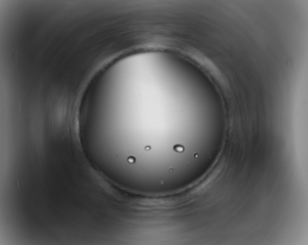 X0000090751232200707201443