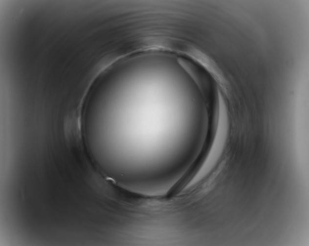 X0000090751234200707201443