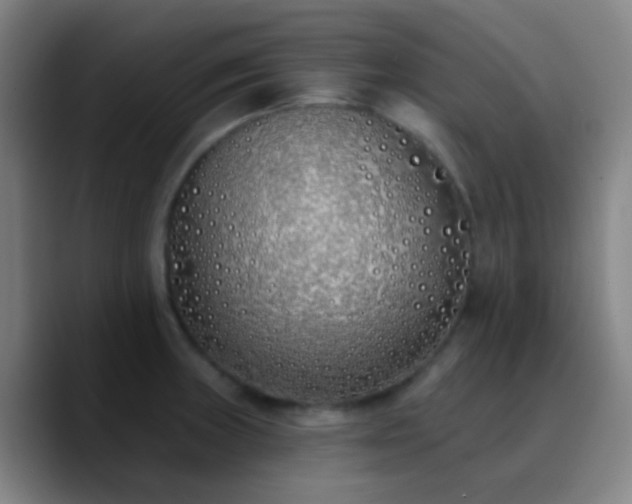 X0000090751235200707201443