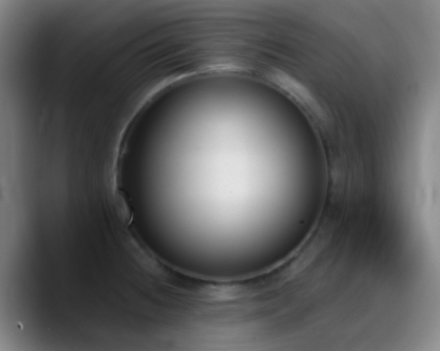 X0000090751236200707201443