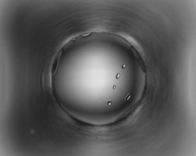 X0000090751238200707201443