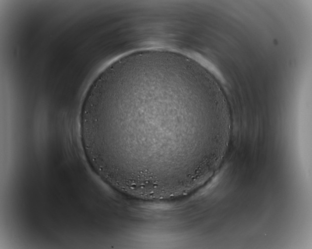 X0000090751239200707201443